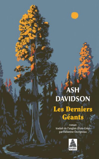 Les Derniers gants - Ash DAVIDSON - Nouveauts